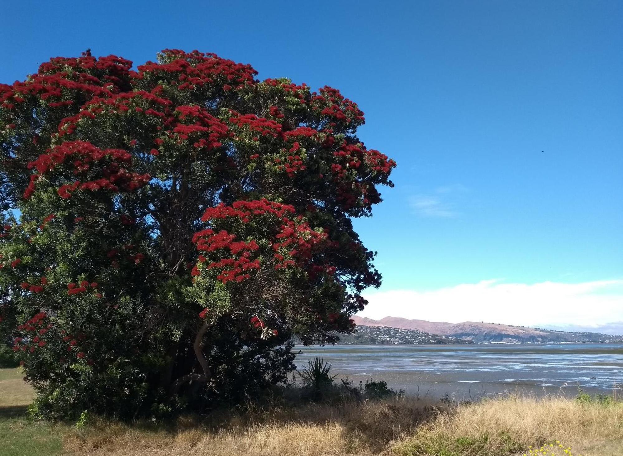 South Brighton Holiday Park Christchurch Luaran gambar